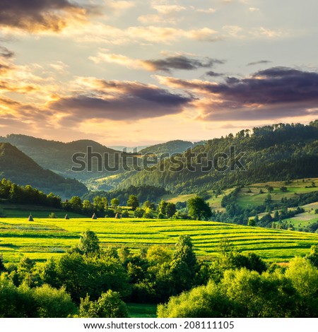 Summer land scape . Stack of hay on a green meadow in the mountains