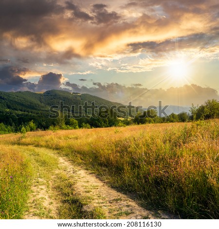 road going into mountains and passes through the green shaded forest in the field at sunset