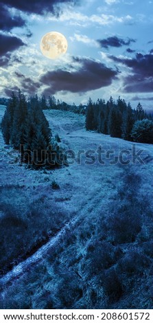 path going up on slope of mountain range with coniferous forest  at night in full moon light