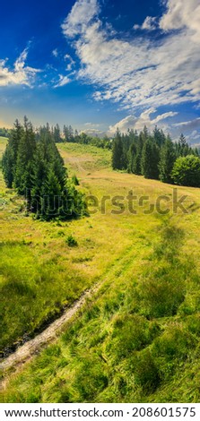 path going up on slope of mountain range with coniferous forest