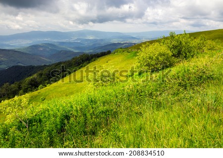 mountain landscape. valley near the forest on the mountain slope at the top of the hill at sunrise