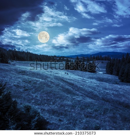 calm summer landscape in mountains. awesome coniferous forest near meadow  on hillside under epic sky with clouds at magic cool blue night in full moon light