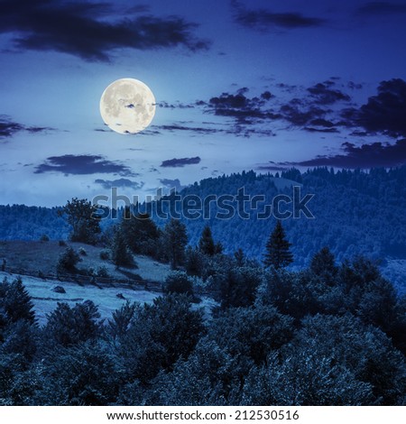 summer landscape. fence near the meadow path on the hillside at night in full moon light