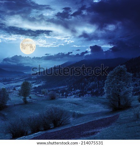 summer landscape. fence near the meadow path on the hillside. forest in fog on the mountain at night in full moon light