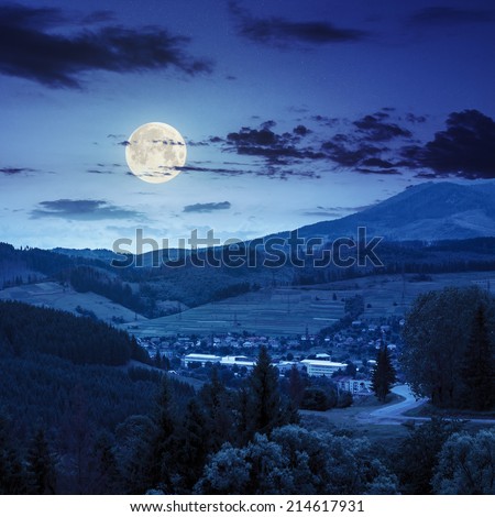 asphalt road going to village, passes through the green shaded forest in mountains at night in full moon light