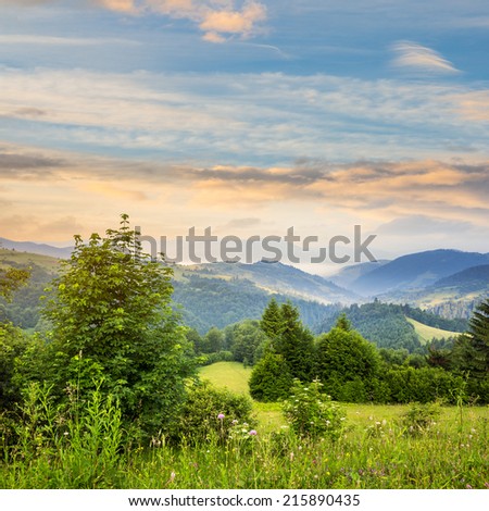 summer landscape. village on the hillside. forest on the mountain light fall on clearing on mountains at sunrise