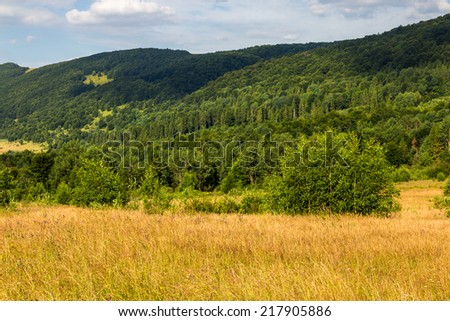 summer landscape.  forest on the mountain light fall on clearing on meadow near mountain