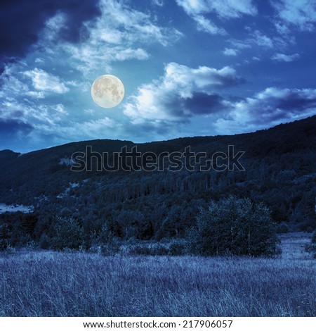summer landscape.  forest on the mountain light fall on clearing on meadow near mountain at night in full moon light
