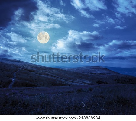 path to high wild grass and purple flowers at the top of the mountain at night in full moon light