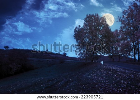 asphalt road  passes through the autumn shaded forest at night in full moon light