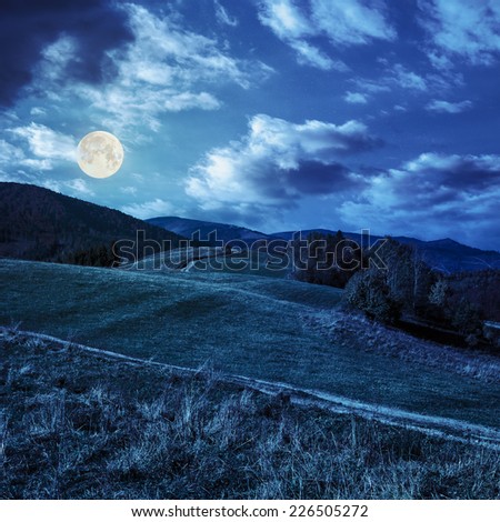 yellow and orange trees on autumn meadow in mountains at night in full moon light