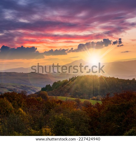 autumn landscape. yellow trees near green meadow in foggy mountains at sunset with red clouds