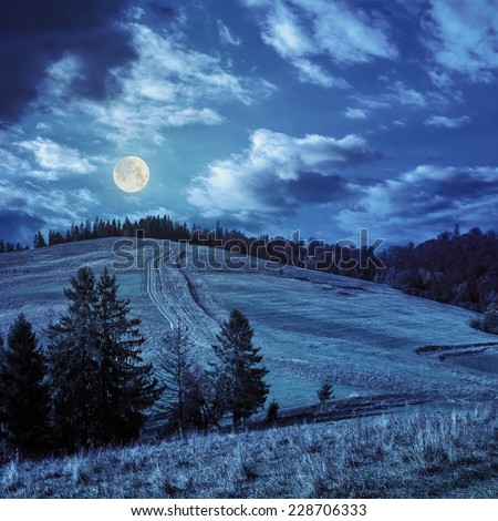 pine trees and orange trees on autumn meadow in mountains at night in full moon light