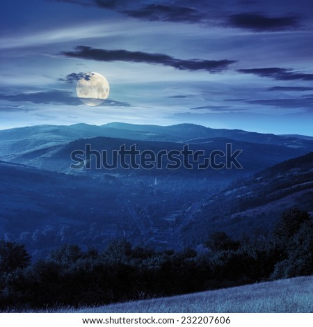 summer landscape. village on the mountain hillside with  forest in fog at night in full moon light