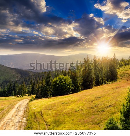 pine trees near the path through meadow  on the hillside. forest in haze on the far mountain in sunset light