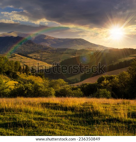meadow on hillside near forest in mountains at sunset with rainbow