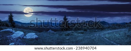 pnoramic collage  landscape. boulders on the meadow with path on the hillside and two pine trees on top of mountain range at night in full moon light