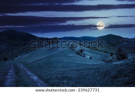 collage landscape. fence near the meadow path on the hillside. village near forest in mountains at night in full moon light