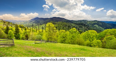 summer panorama landscape. fence near the meadow path on the hillside. forest in fog on the mountain