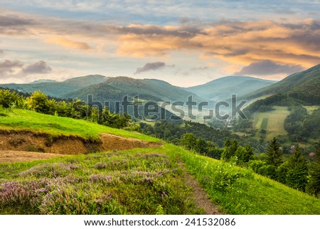 composite mountain landscape. flowers on hillside meadow near village in foggy mountain  forest at sunrise