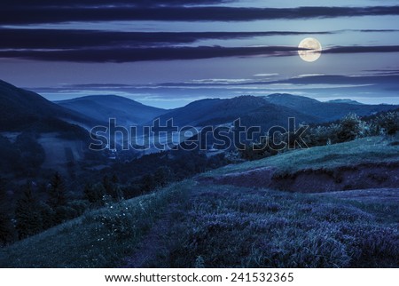 composite mountain landscape. flowers on hillside meadow near village in foggy mountain  forest at night in full moon light