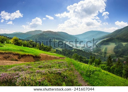 composite mountain landscape. flowers on hillside meadow near village in foggy mountain  forest