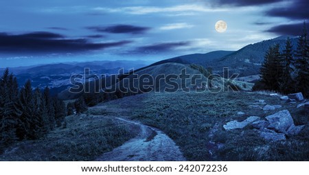 composite mountain landscape. pine trees and boulders near meadow path on hillside at night in full moon light