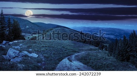 composite mountain landscape. pine trees and boulders near meadow path on hillside at night in full moon light
