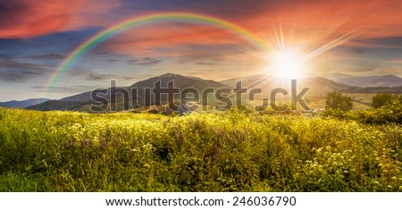 composite mountain landscape. wild flowers on meadow in mountains in sunset light with rainbow