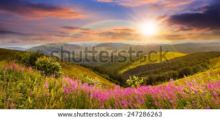composite landscape with high wild grass and purple flowers on the top of high mountain in sunset light with rainbow
