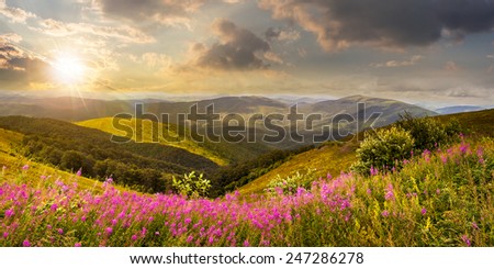 composite landscape with high wild grass and purple flowers on the top of high mountain in sunset light