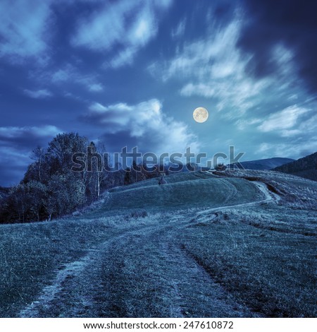 composite autumn landscape. path through the meadow on mountain top at  night in full moon light