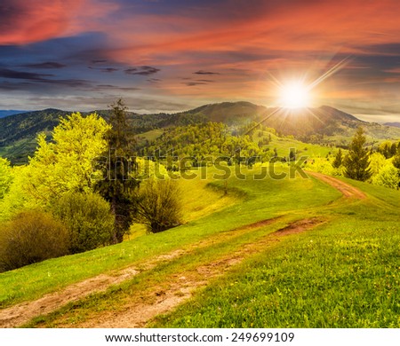 composite mountain landscape with  road on hillside meadow few fir trees and forest  on both sides of the road in sunset light