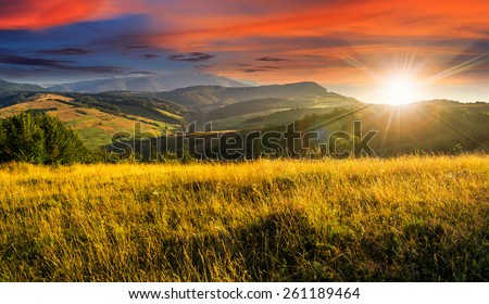 mountain summer landscape. meadow meadow with tall yellow grass and forests on hillside in sunset light