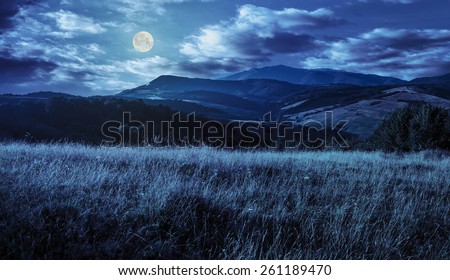 mountain summer landscape. meadow meadow with tall yellow grass and forests on hillside at night in full moon light