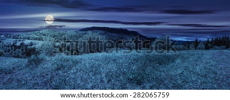 panoramic mountain landscape. green grass on meadow near mixed forest in mountains at night in full moon light