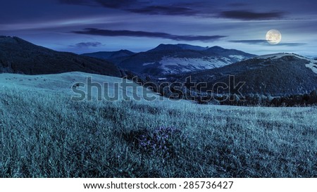 mountain summer landscape.trees near meadow on hillside under  sky with clouds at night in full moon light