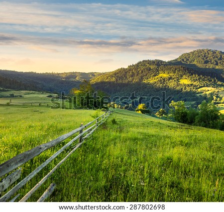 composite rural landscape. fence on the meadow near trees on the hillside. conifer forest on the mountain top in morning light