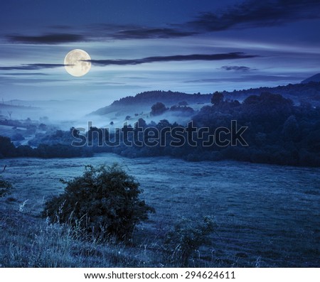 cold fog in the mountains at night in full moon light