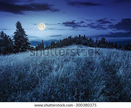 meadow with tall grass on a mountain top near coniferous forest at night in full moon light