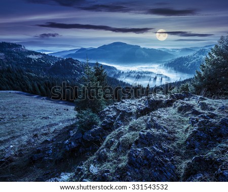 view from a rocky cliff to full of fog valley with conifer forest in high mountains of Apuseni Natural Park in Romania at night in full moon light