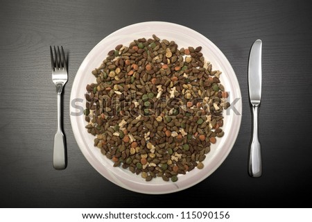 Cat food on a plate Dry cat food on a plate and silverware in black background