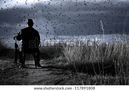 Bird watching A composition showing a man sitting on a chair in a countryside holding his umbrella. He is looking at a flock of birds passing through