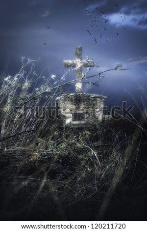 Grave in the mist. Spooky scene with an old grave in the mist between bushes.