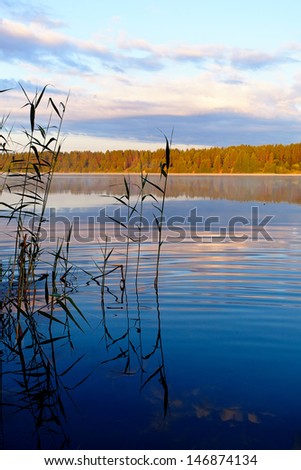 Landscape with the lake. Sunny day on the lake. Beautiful landscape. Water smooth surface of the lake.