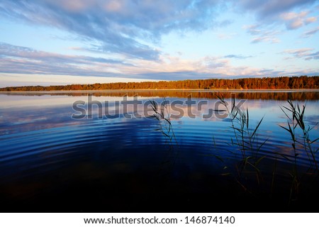 Landscape with the lake. Sunny day on the lake. Beautiful landscape. Water smooth surface of the lake.