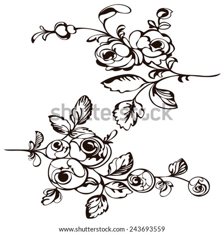 Drawing pattern flower, painting closeup rose black white