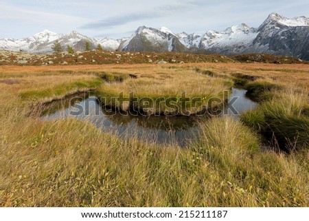 Fall in the Alps: small alpine stream in the Italian Alps; it\'s late autumn, with no people around.