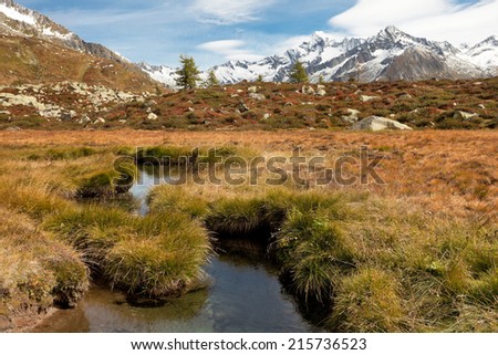 Fall in the Alps: small alpine stream in the Italian Alps; it\'s late autumn, with no people around.