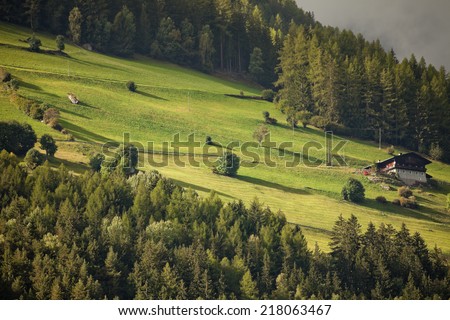 An alpine alm, with its green meadow. It\'s late afternoon in a late autumnal day in the Alps.